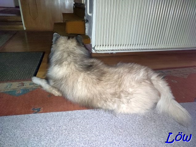 28.12.2024 - Dwix ist platt